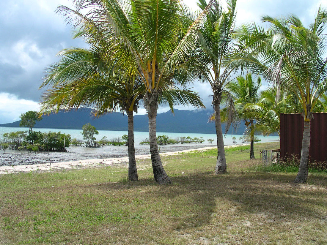 Queensland beach - Australia